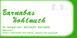 barnabas wohlmuth business card