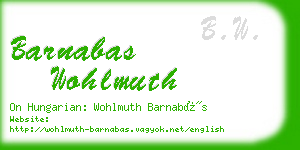 barnabas wohlmuth business card